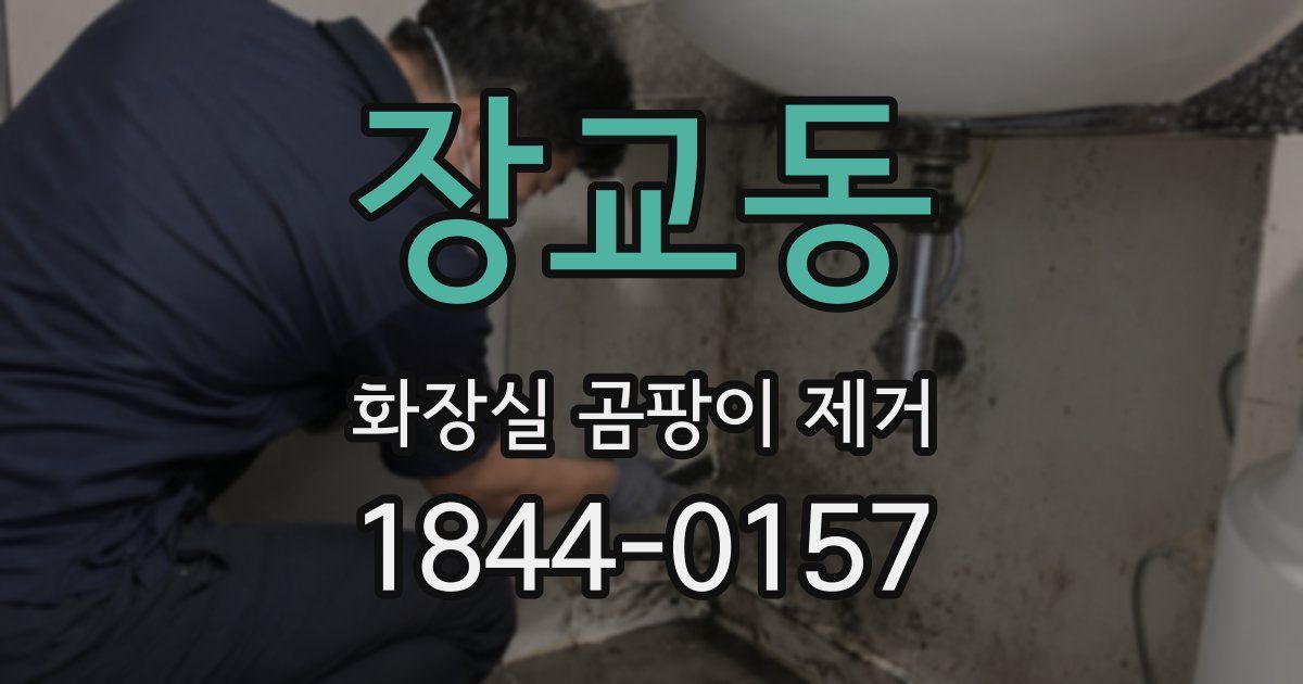 장교동 화장실 곰팡이 제거
