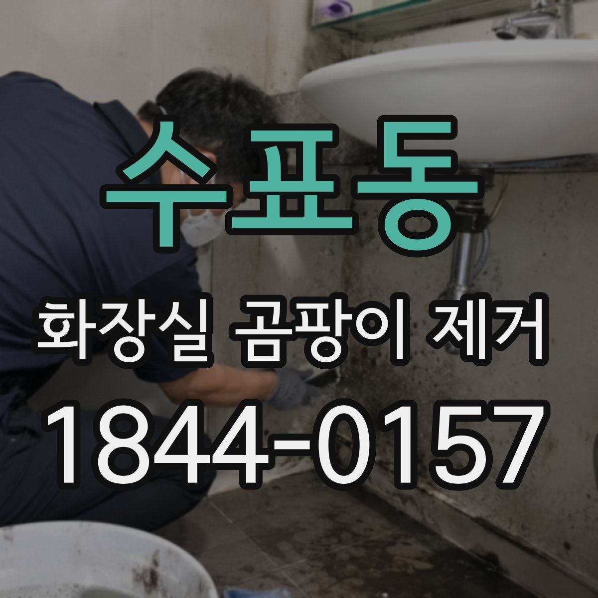 수표동 화장실 곰팡이 제거