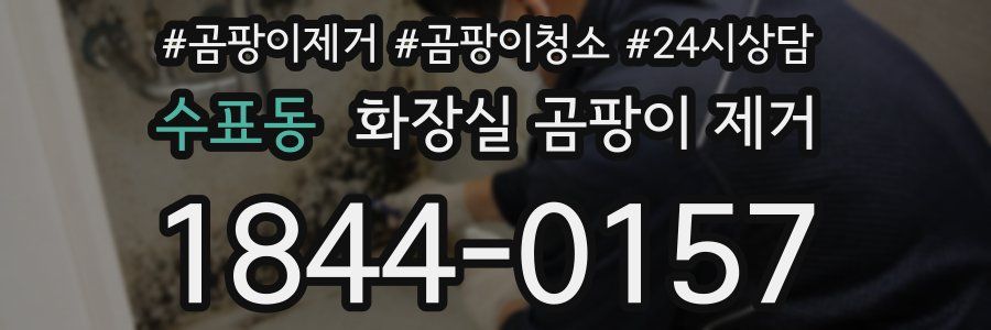 수표동 화장실 곰팡이 제거