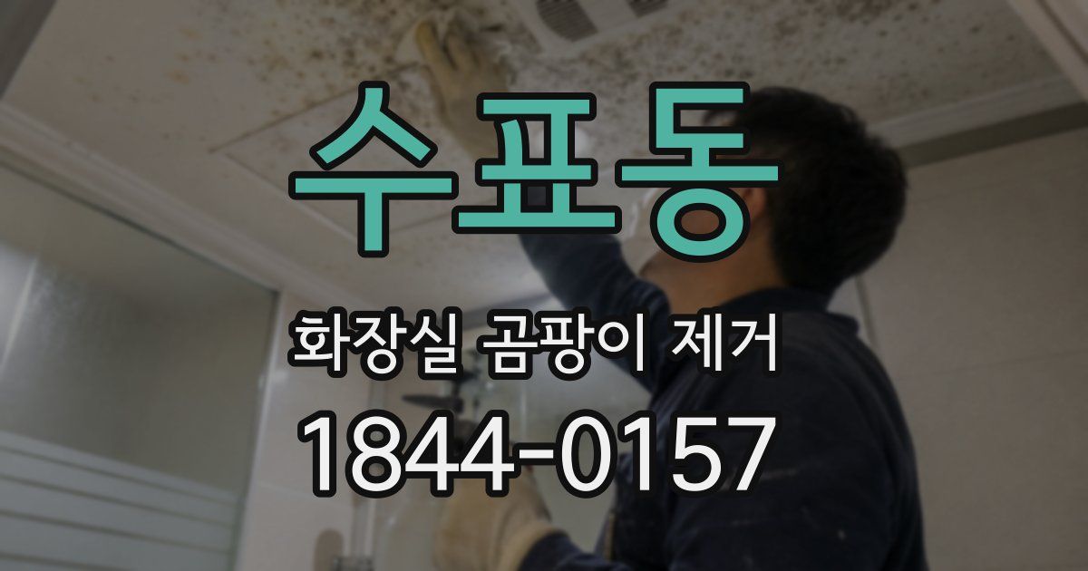 수표동 화장실 곰팡이 제거