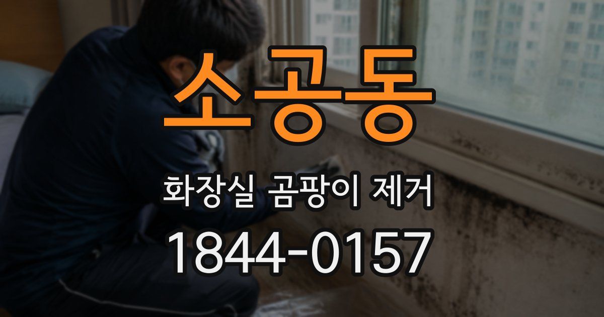 소공동 화장실 곰팡이 제거