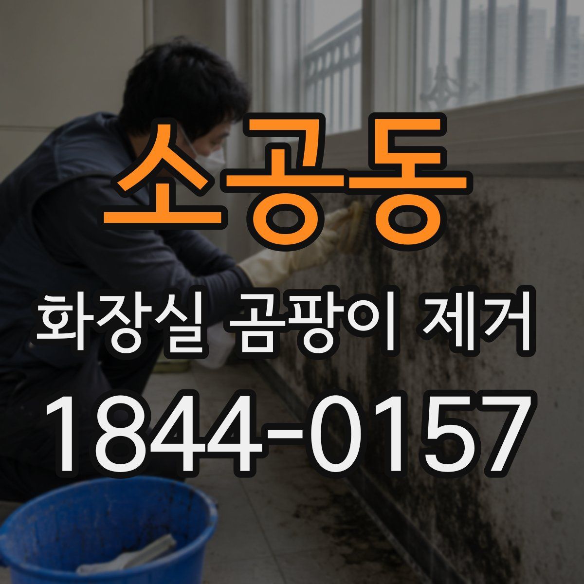 소공동 화장실 곰팡이 제거