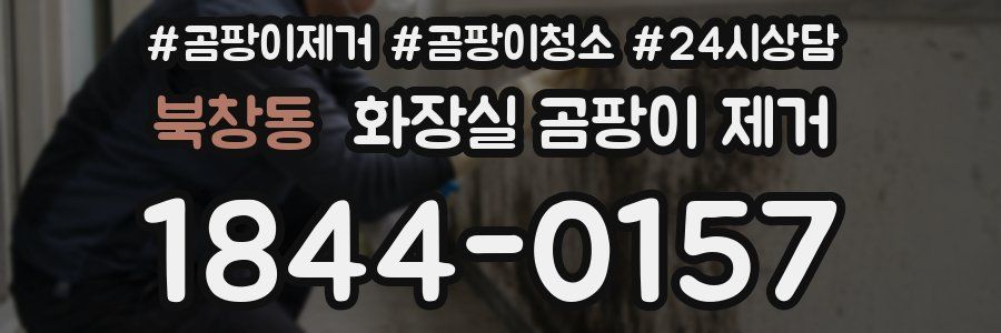북창동 화장실 곰팡이 제거