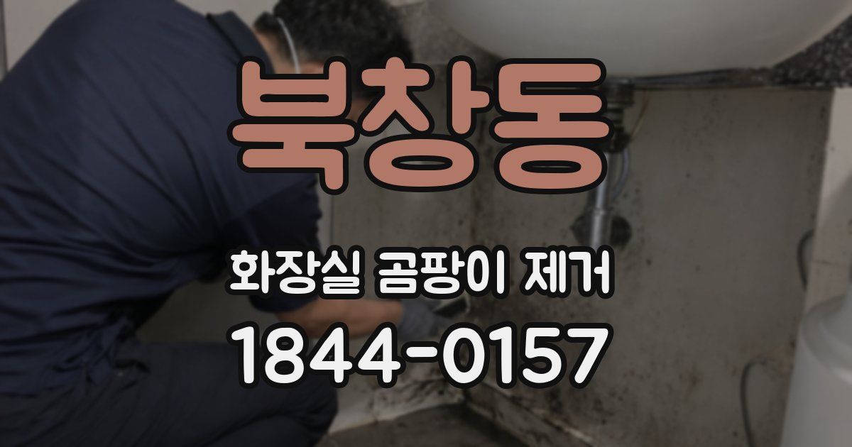 북창동 화장실 곰팡이 제거