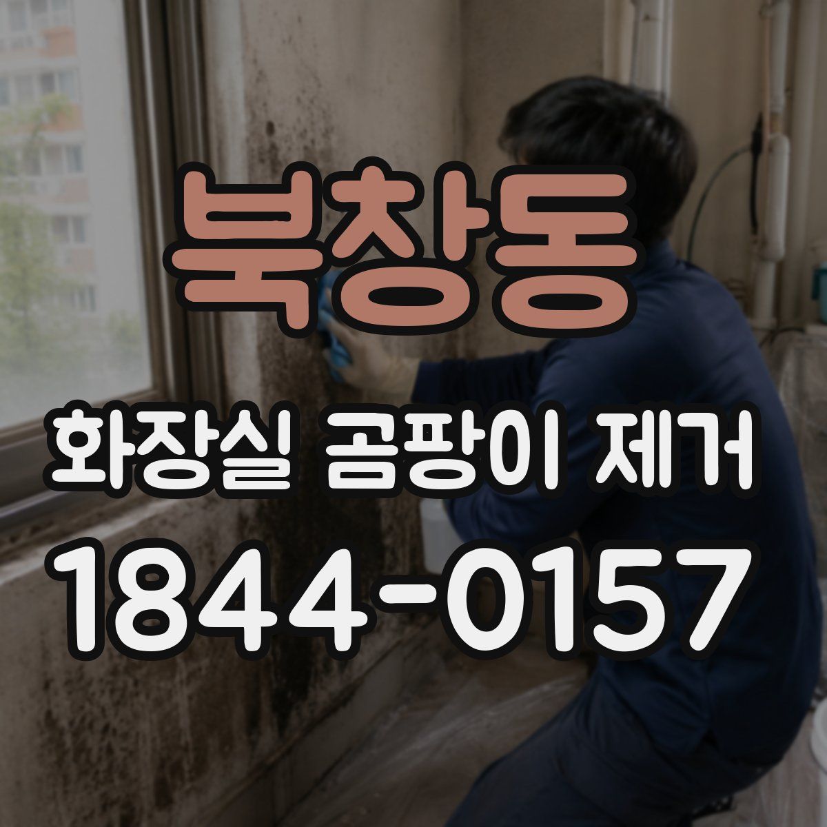 북창동 화장실 곰팡이 제거