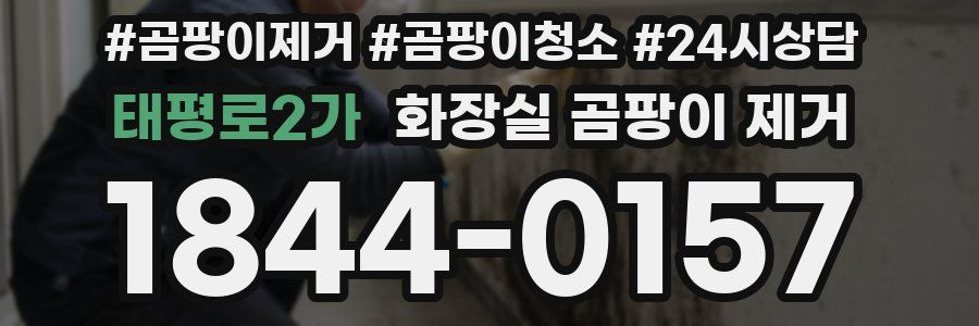 태평로2가 화장실 곰팡이 제거