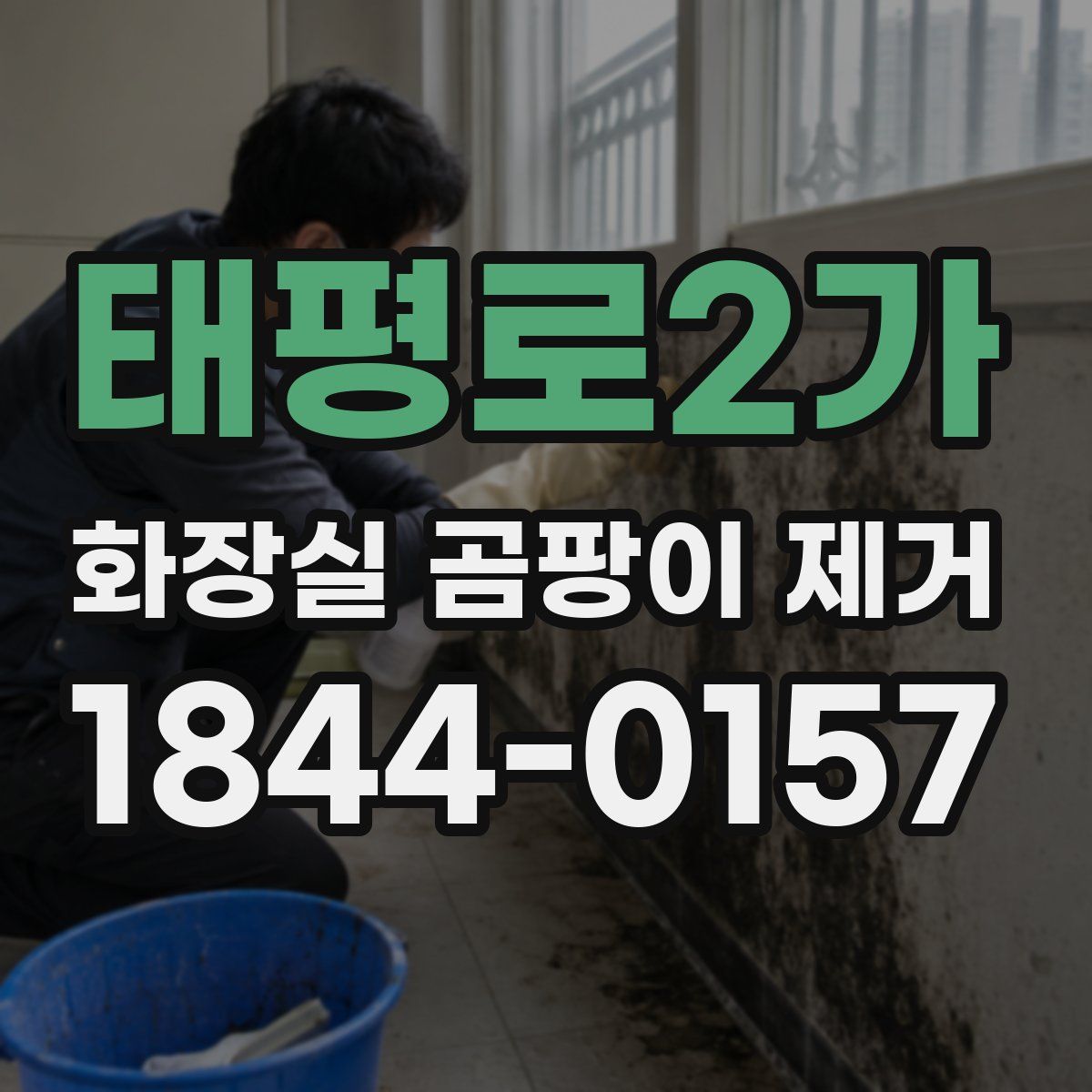 태평로2가 화장실 곰팡이 제거