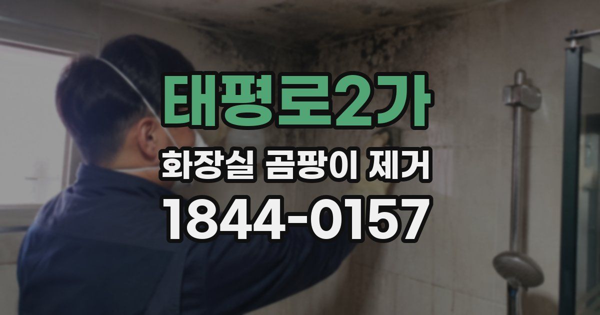 태평로2가 화장실 곰팡이 제거