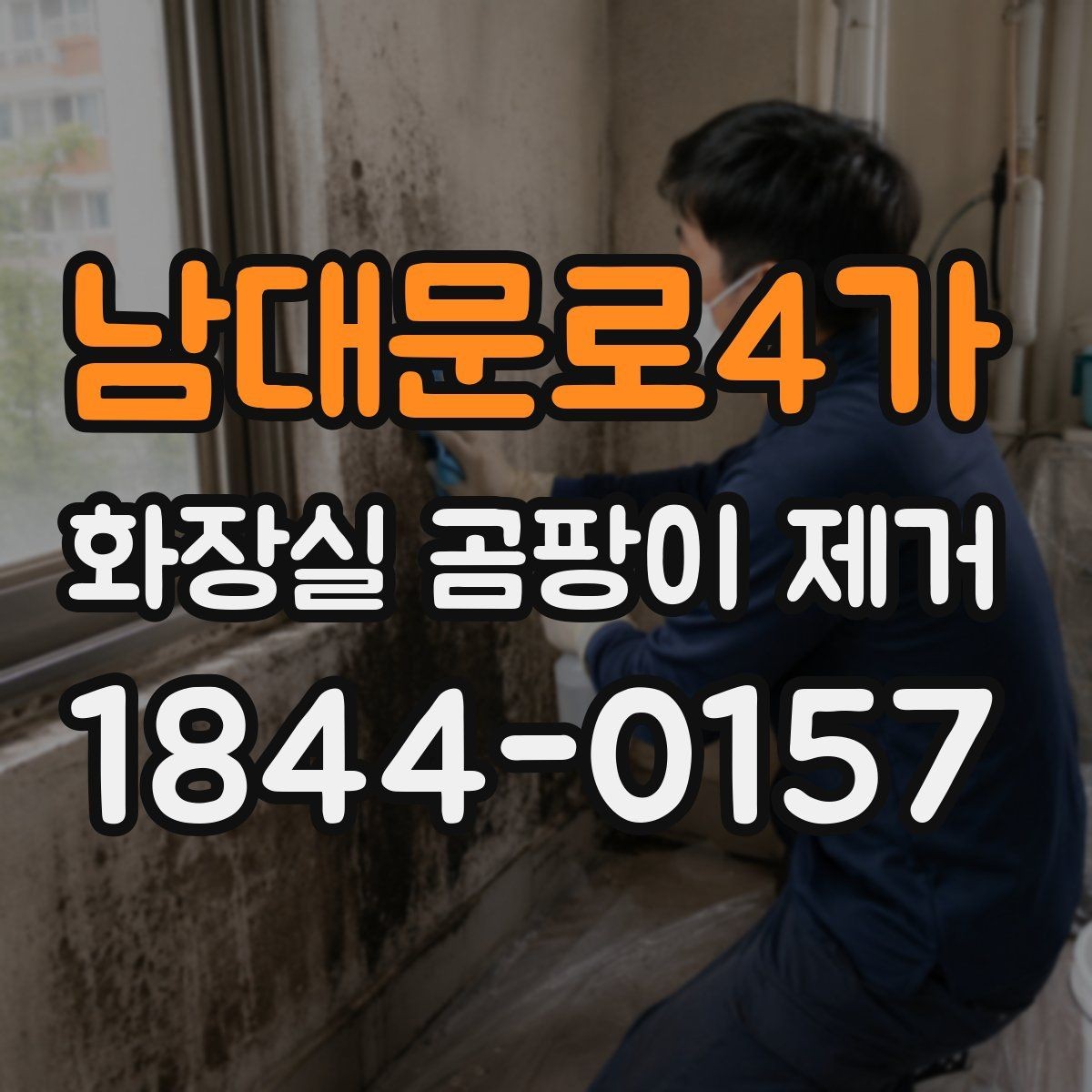 남대문로4가 화장실 곰팡이 제거 브러시 청소가 더 맞는 구간