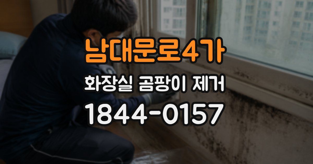 남대문로4가 화장실 곰팡이 제거