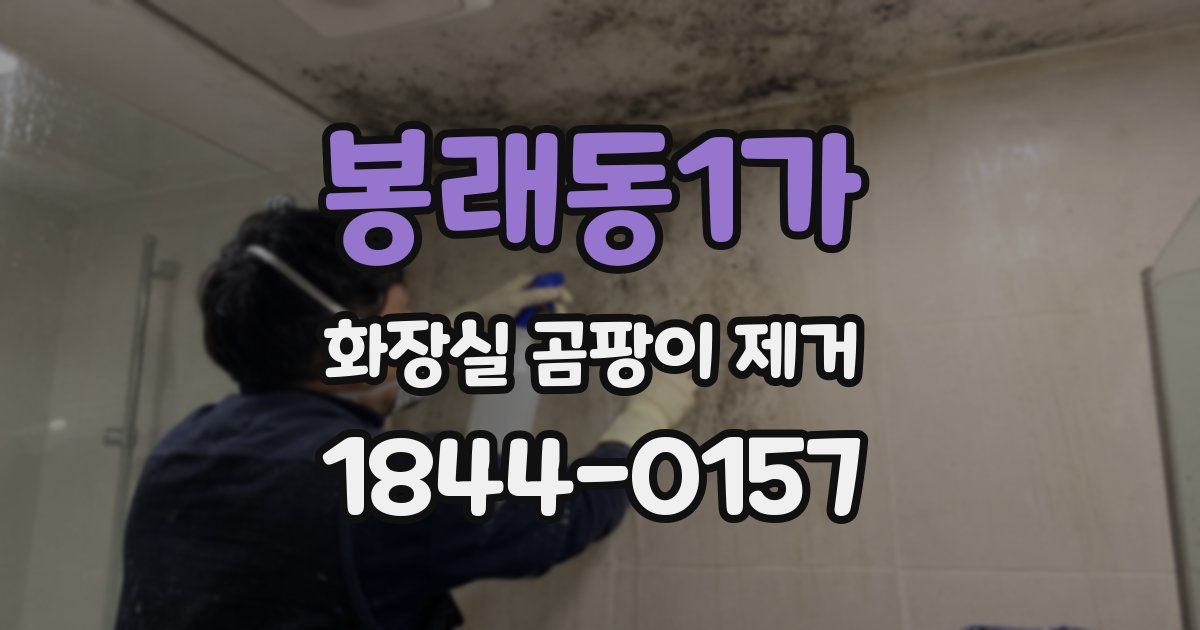 봉래동1가 화장실 곰팡이 제거