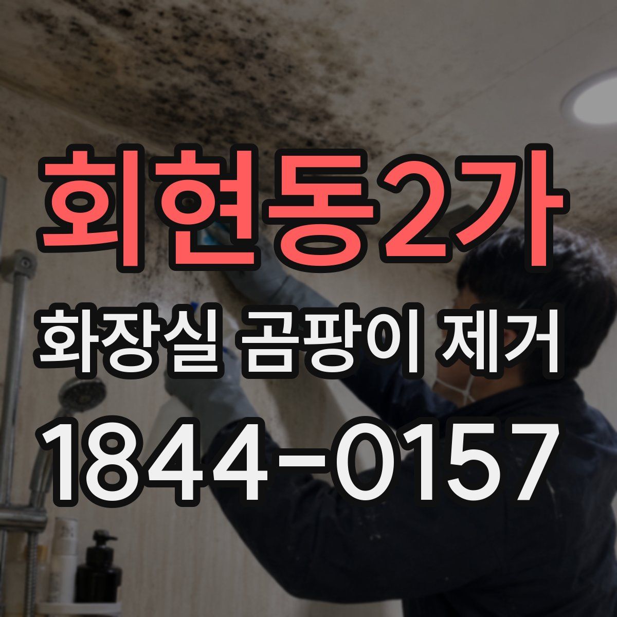 회현동2가 화장실 곰팡이 제거