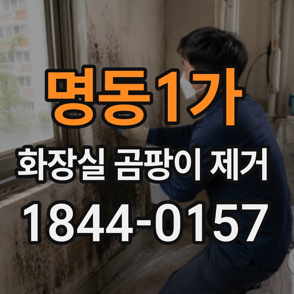 명동1가 화장실 곰팡이 제거