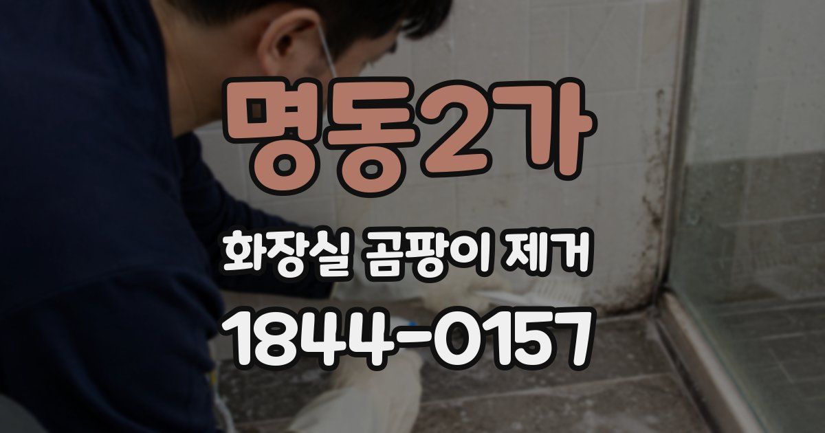 명동2가 화장실 곰팡이 제거