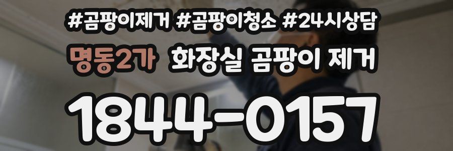 명동2가 화장실 곰팡이 제거