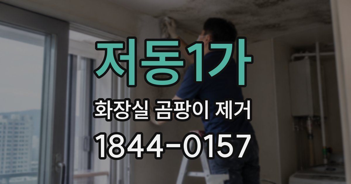 저동1가 화장실 곰팡이 제거