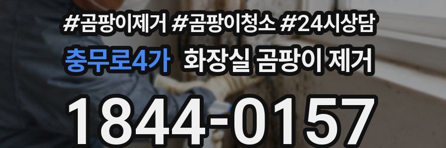 충무로4가 화장실 곰팡이 제거