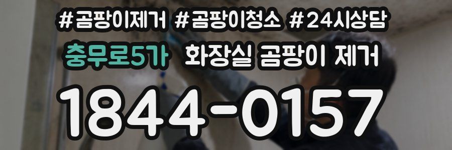 충무로5가 화장실 곰팡이 제거