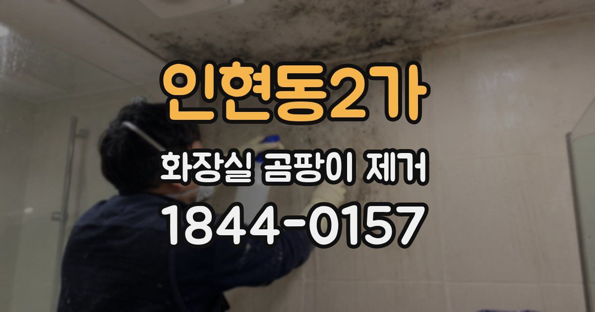 인현동2가 화장실 곰팡이 제거