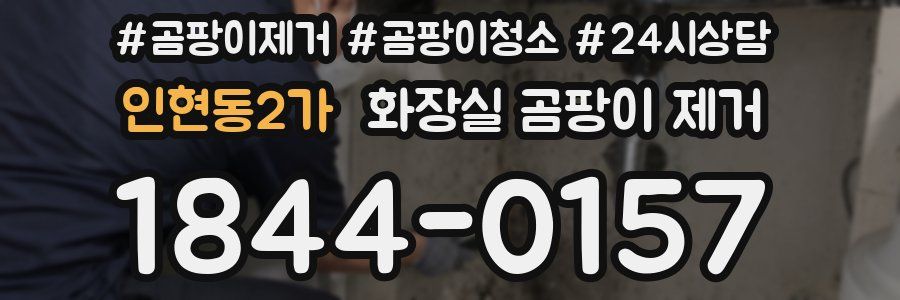 인현동2가 화장실 곰팡이 제거