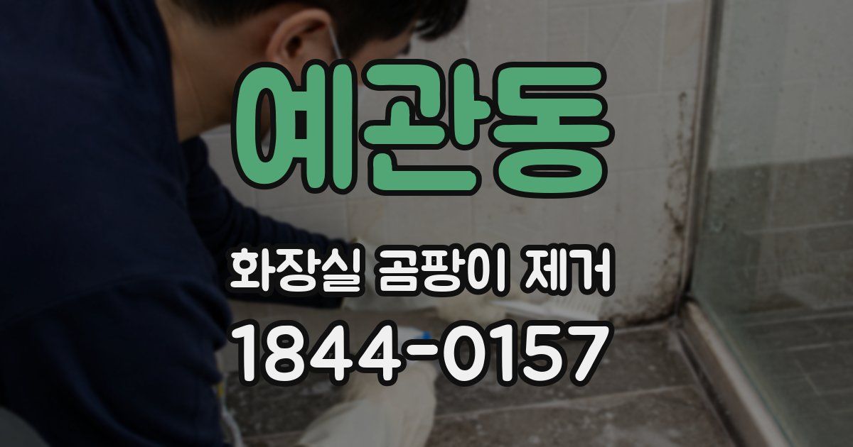 예관동 화장실 곰팡이 제거