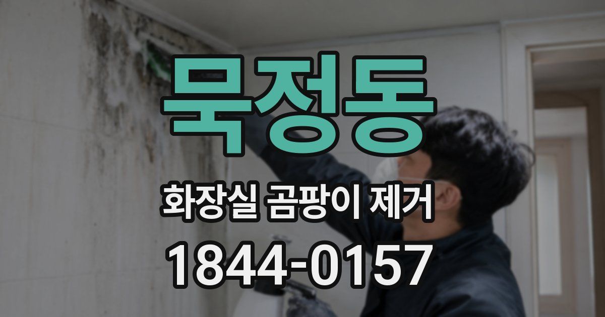 묵정동 화장실 곰팡이 제거