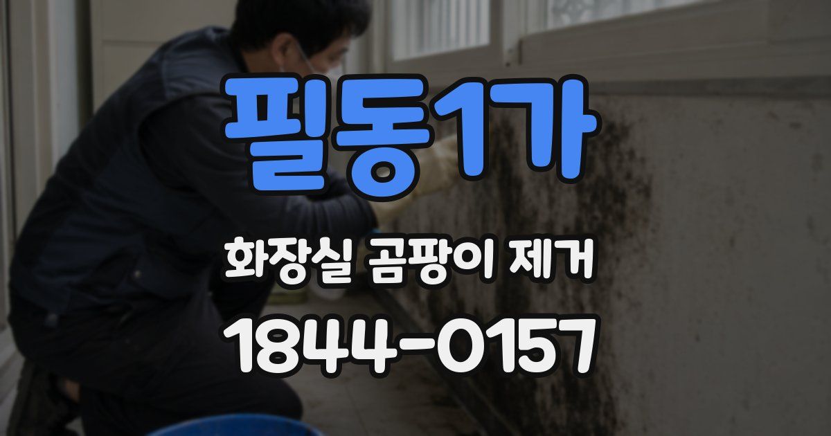 필동1가 화장실 곰팡이 제거