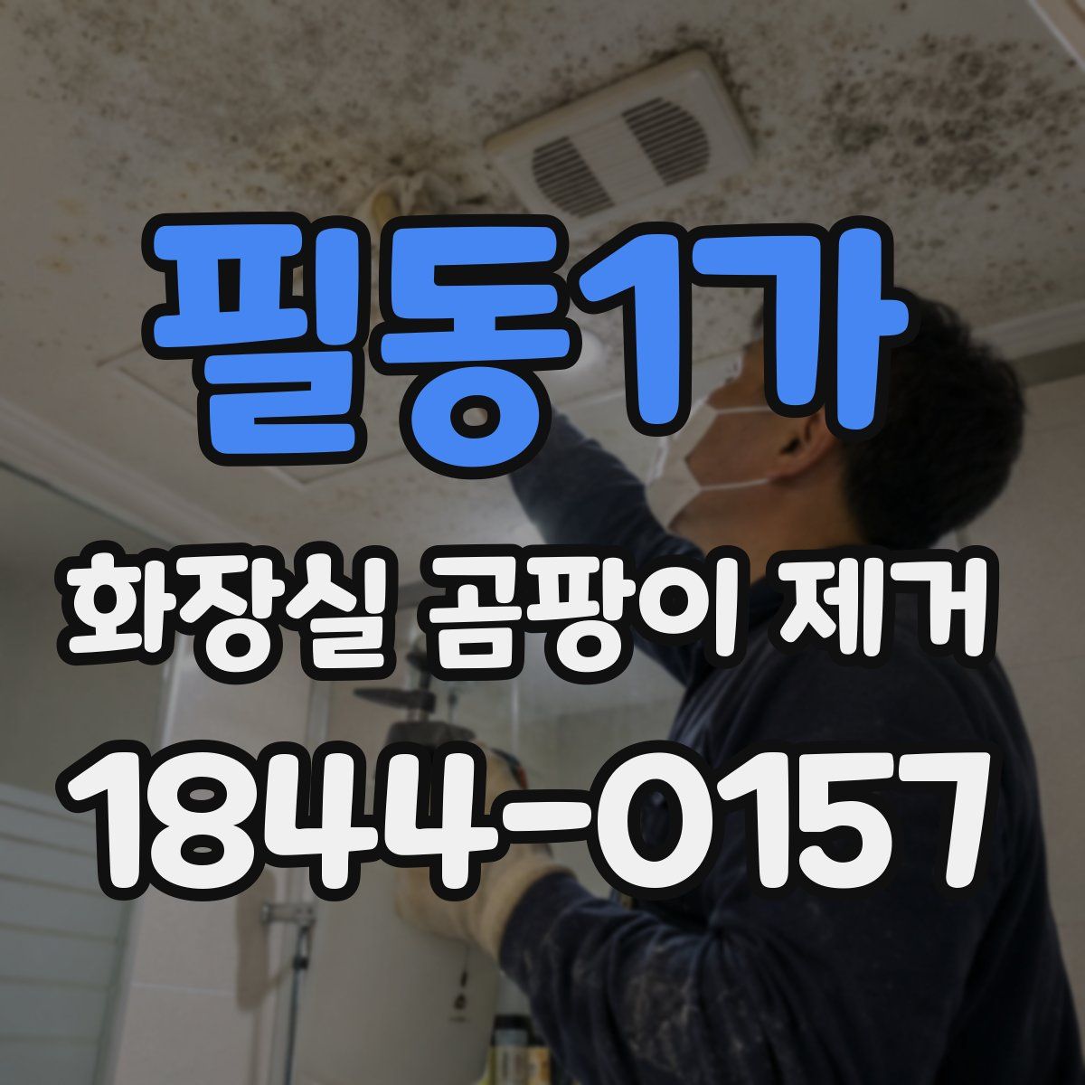필동1가 화장실 곰팡이 제거