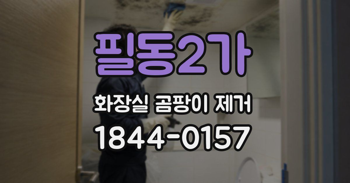 필동2가 화장실 곰팡이 제거