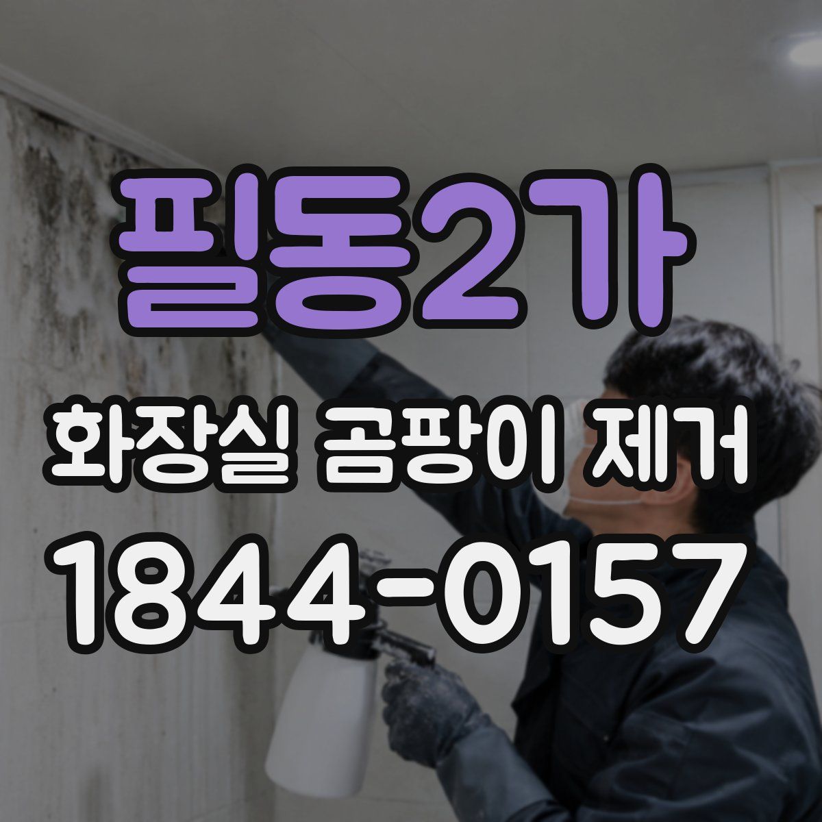 필동2가 화장실 곰팡이 제거