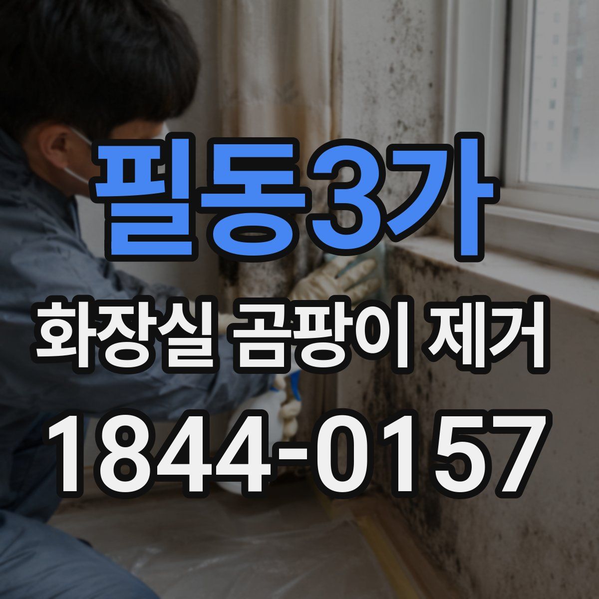 필동3가 화장실 곰팡이 제거