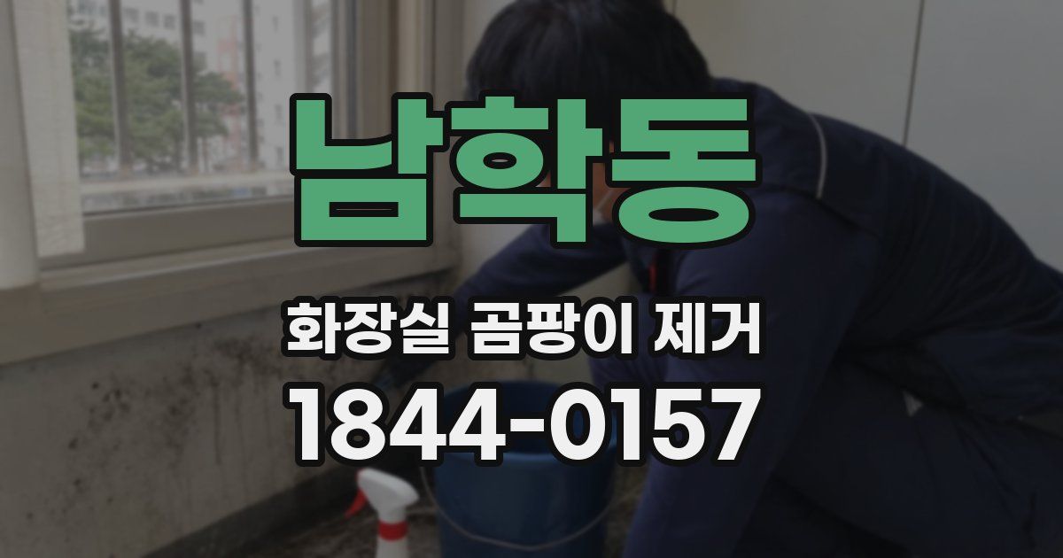 남학동 화장실 곰팡이 제거