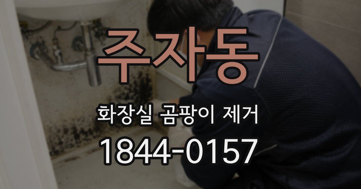 주자동 화장실 곰팡이 제거