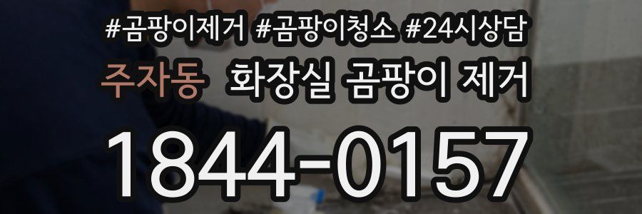 주자동 화장실 곰팡이 제거