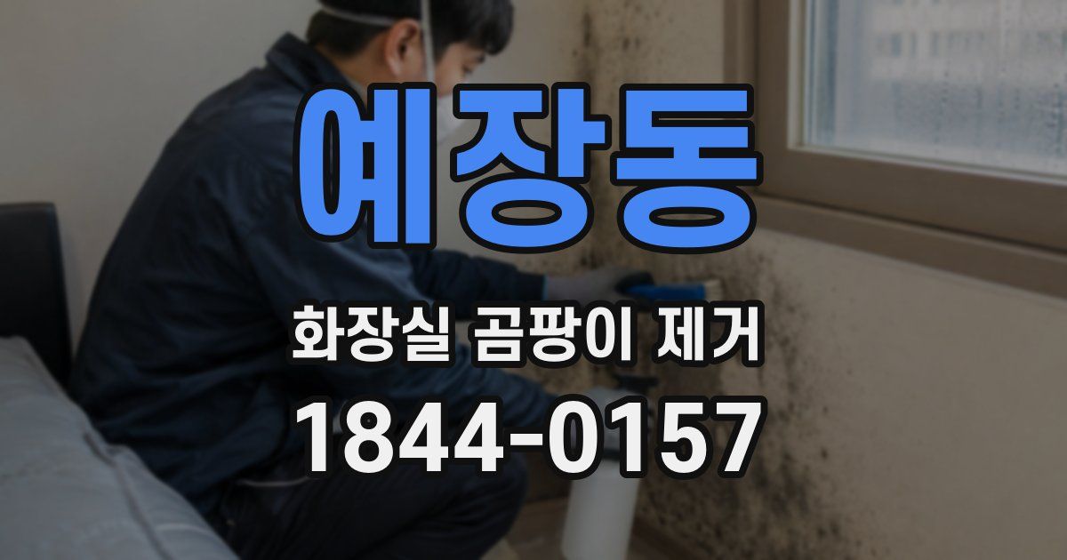 예장동 화장실 곰팡이 제거