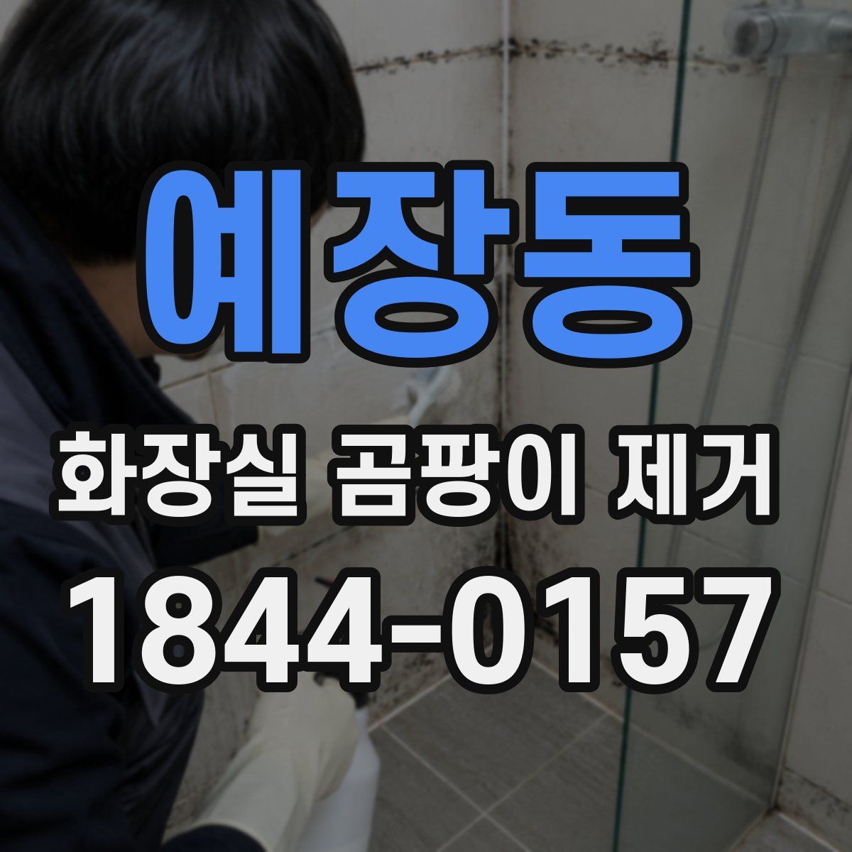 예장동 화장실 곰팡이 제거