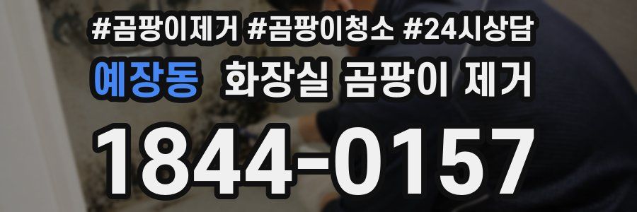 예장동 화장실 곰팡이 제거