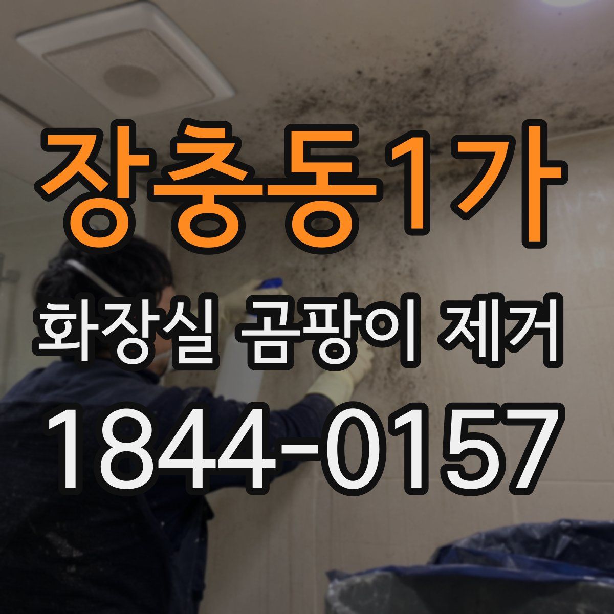 장충동1가 화장실 곰팡이 제거
