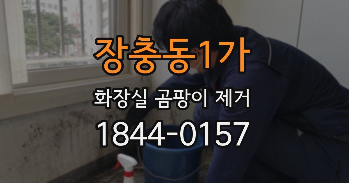 장충동1가 화장실 곰팡이 제거