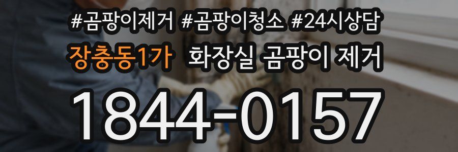 장충동1가 화장실 곰팡이 제거