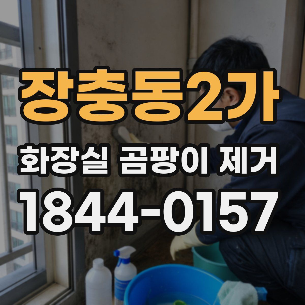 장충동2가 화장실 곰팡이 제거