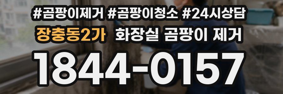 장충동2가 화장실 곰팡이 제거