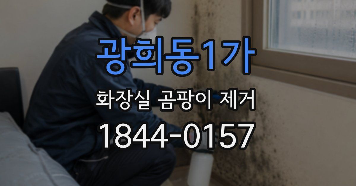 광희동1가 화장실 곰팡이 제거