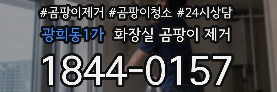 광희동1가 화장실 곰팡이 제거