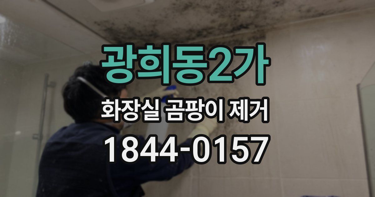 광희동2가 화장실 곰팡이 제거