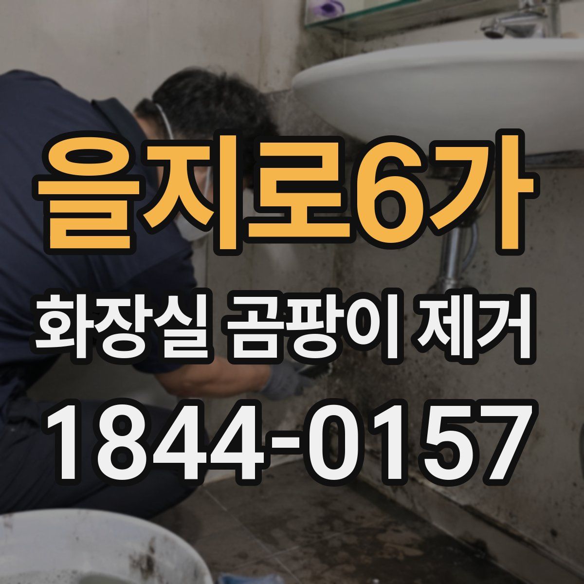 을지로6가 화장실 곰팡이 제거