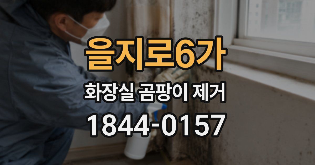 을지로6가 화장실 곰팡이 제거