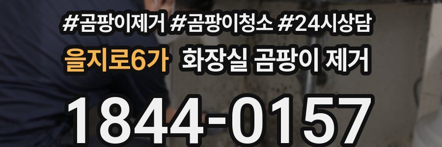 을지로6가 화장실 곰팡이 제거