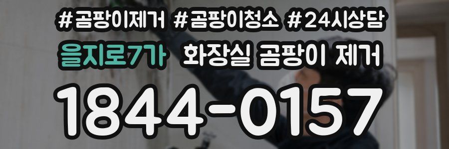 을지로7가 화장실 곰팡이 제거