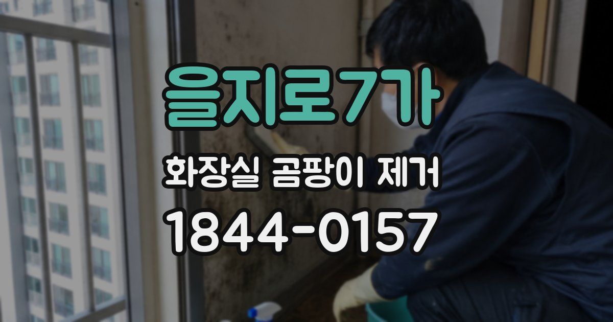 을지로7가 화장실 곰팡이 제거
